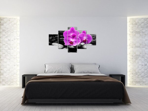 Obraz - Fialové orchideje (125x70 cm)