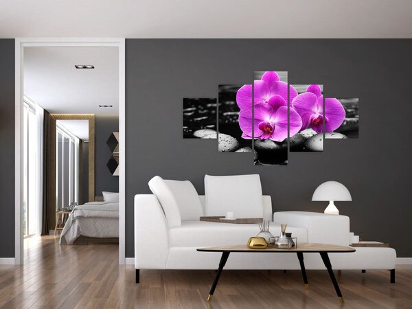 Obraz - Fialové orchideje (125x70 cm)