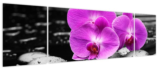 Obraz - Fialové orchideje (170x50 cm)