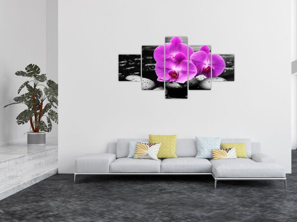 Obraz - Fialové orchideje (125x70 cm)