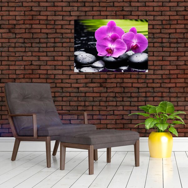 Obraz - Orchideje (70x50 cm)