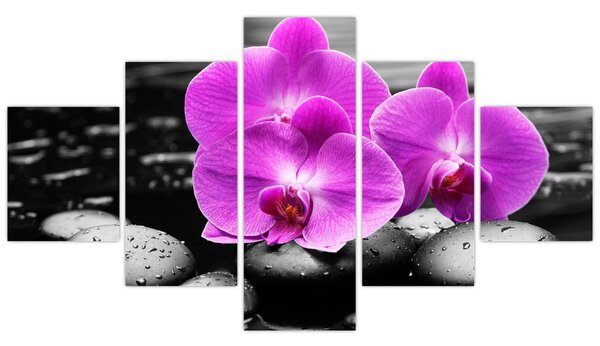 Obraz - Fialové orchideje (125x70 cm)