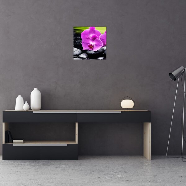 Obraz - Orchideje (30x30 cm)