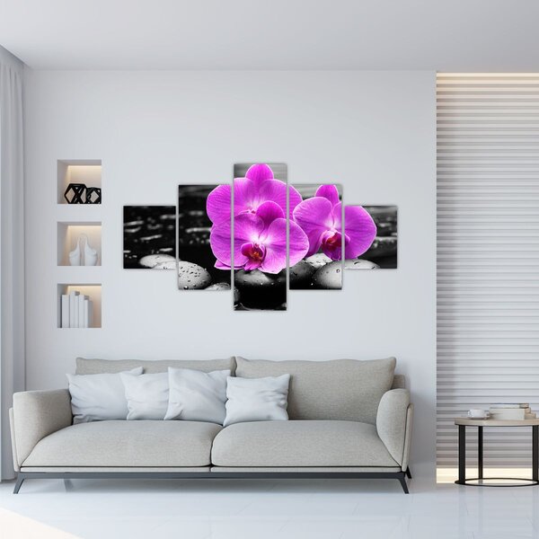 Obraz - Fialové orchideje (125x70 cm)