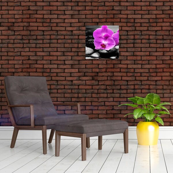 Obraz - Fialové orchideje (30x30 cm)