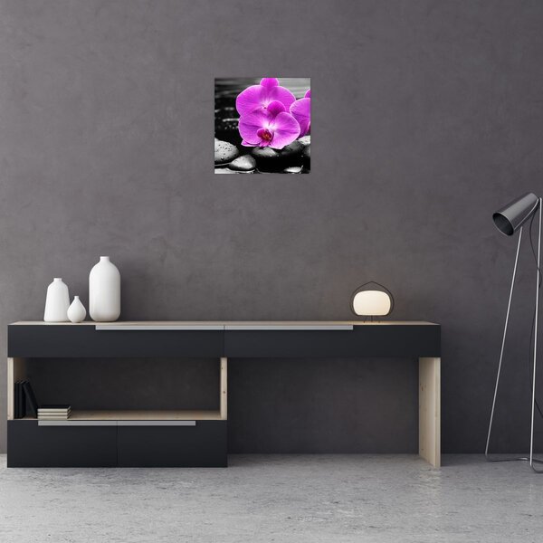 Obraz - Fialové orchideje (30x30 cm)