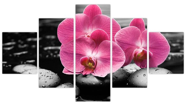 Obraz - Růžové orchideje (125x70 cm)