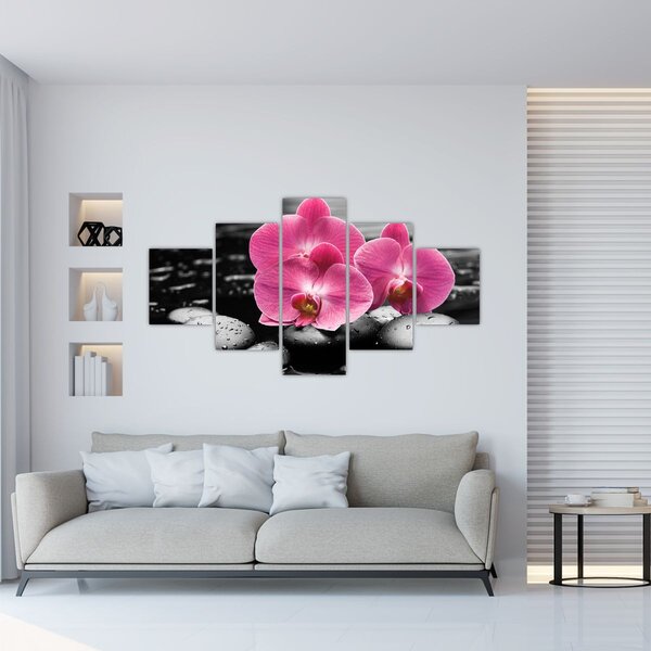 Obraz - Růžové orchideje (125x70 cm)