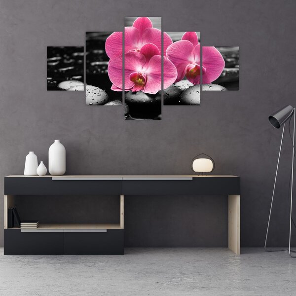 Obraz - Růžové orchideje (125x70 cm)