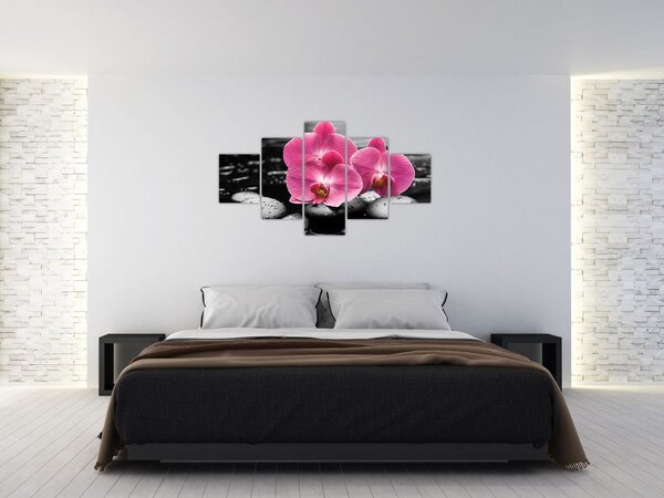 Obraz - Růžové orchideje (125x70 cm)