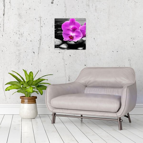 Obraz - Fialové orchideje (30x30 cm)