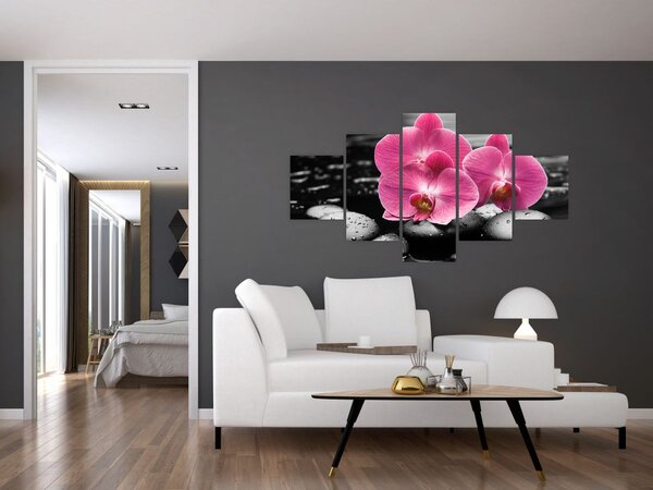 Obraz - Růžové orchideje (125x70 cm)