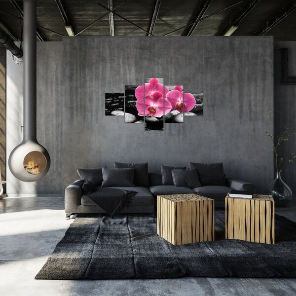 Obraz - Růžové orchideje (125x70 cm)