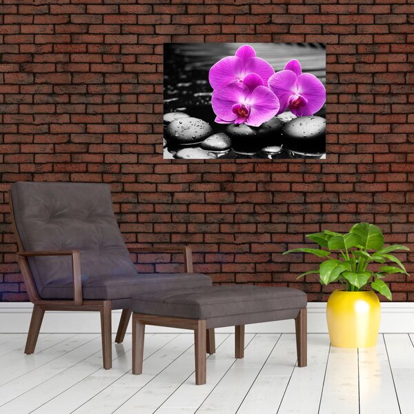 Obraz - Fialové orchideje (70x50 cm)