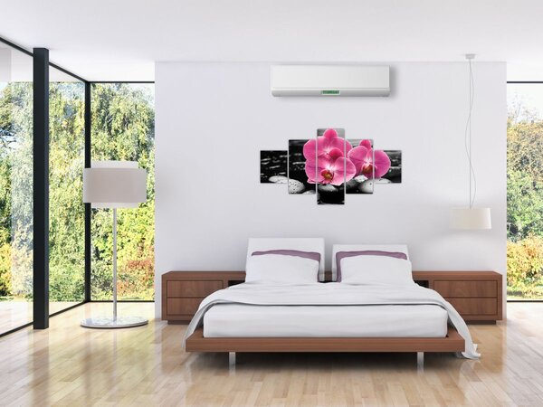 Obraz - Růžové orchideje (125x70 cm)
