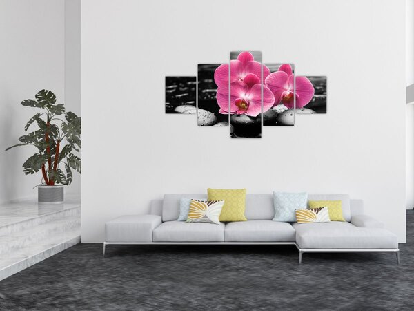 Obraz - Růžové orchideje (125x70 cm)