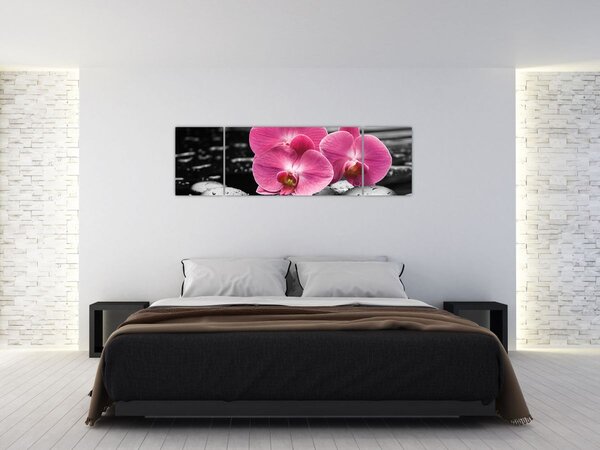 Obraz - Růžové orchideje (170x50 cm)