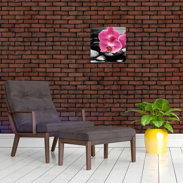 Obraz - Růžové orchideje (30x30 cm)