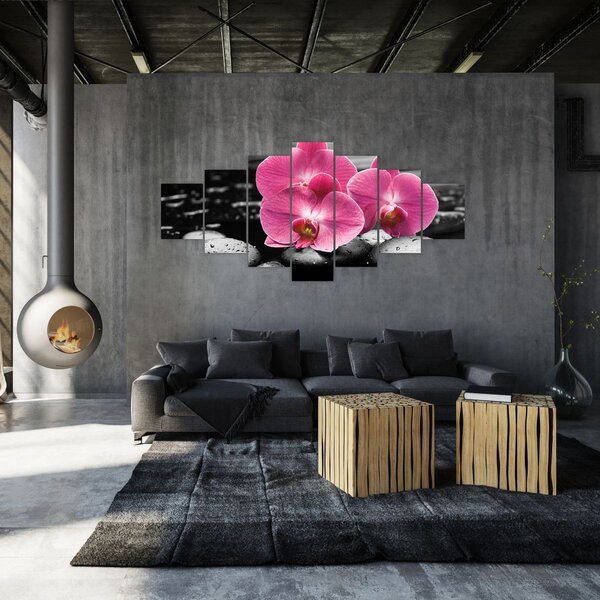 Obraz - Růžové orchideje (210x100 cm)
