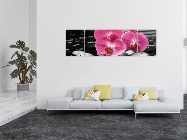 Obraz - Růžové orchideje (170x50 cm)