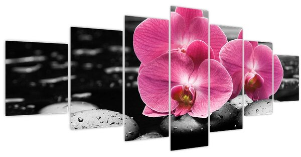 Obraz - Růžové orchideje (210x100 cm)