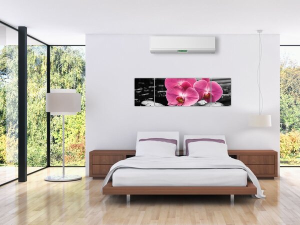 Obraz - Růžové orchideje (170x50 cm)