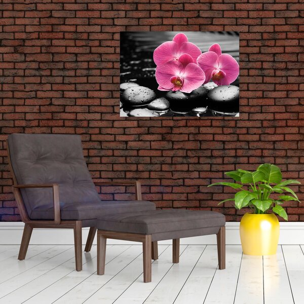 Obraz - Růžové orchideje (70x50 cm)