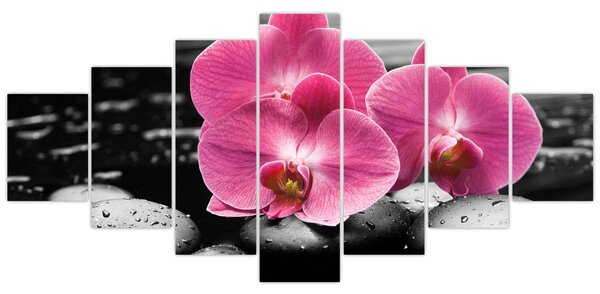 Obraz - Růžové orchideje (210x100 cm)