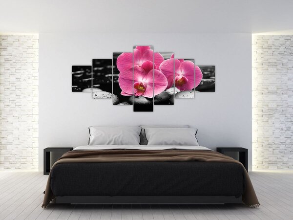 Obraz - Růžové orchideje (210x100 cm)