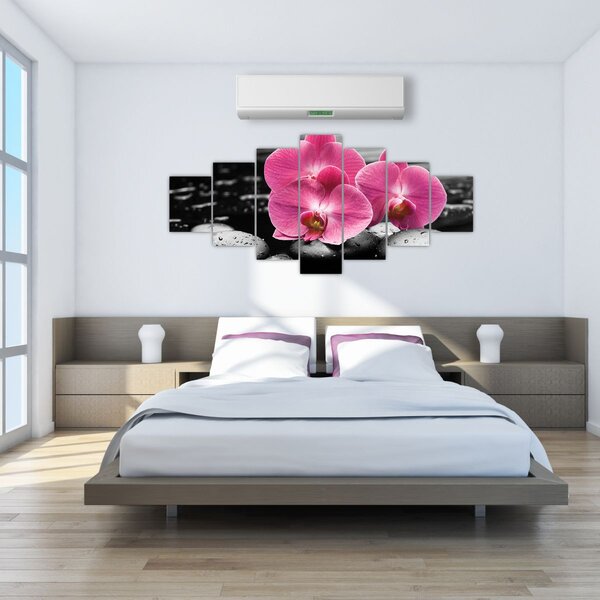 Obraz - Růžové orchideje (210x100 cm)