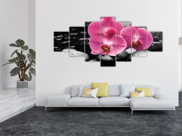 Obraz - Růžové orchideje (210x100 cm)
