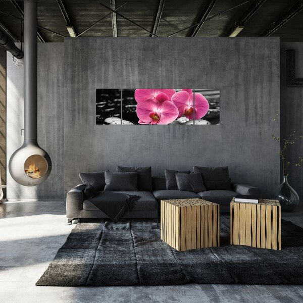Obraz - Růžové orchideje (170x50 cm)