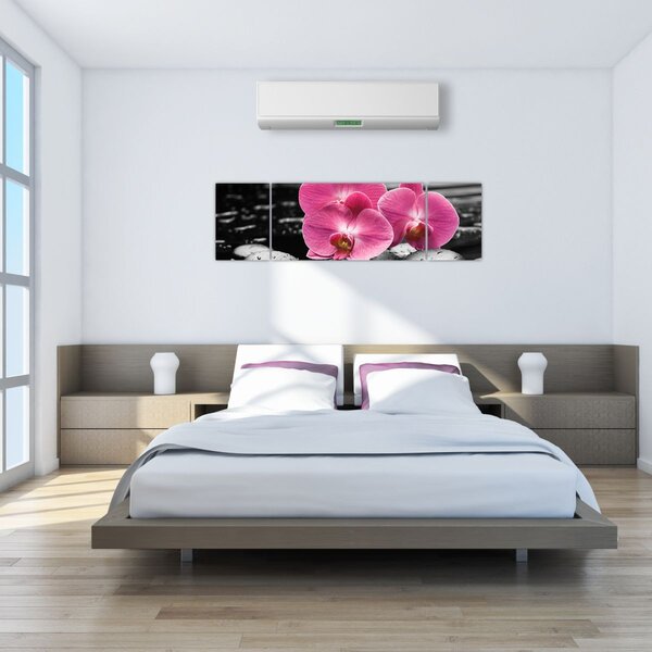 Obraz - Růžové orchideje (170x50 cm)