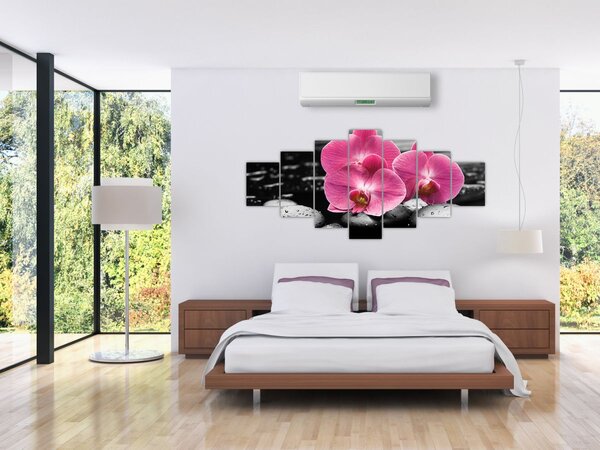 Obraz - Růžové orchideje (210x100 cm)