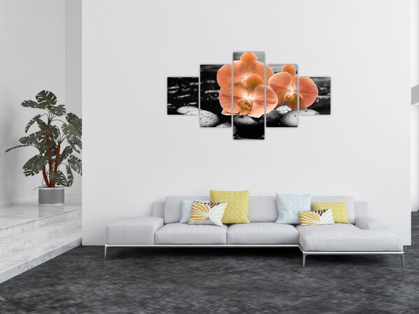 Obraz - Oranžové orchideje (125x70 cm)