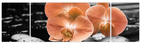 Obraz - Oranžové orchideje (170x50 cm)