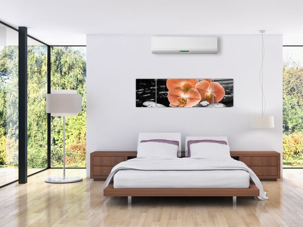 Obraz - Oranžové orchideje (170x50 cm)