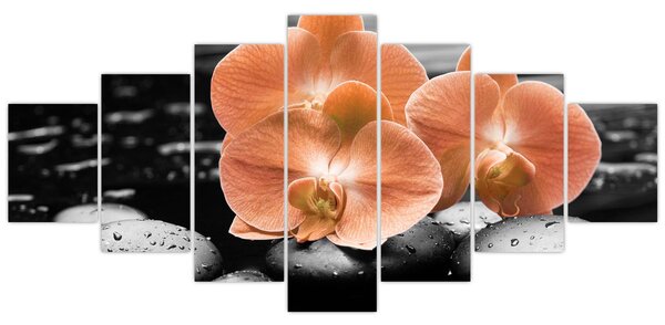 Obraz - Oranžové orchideje (210x100 cm)