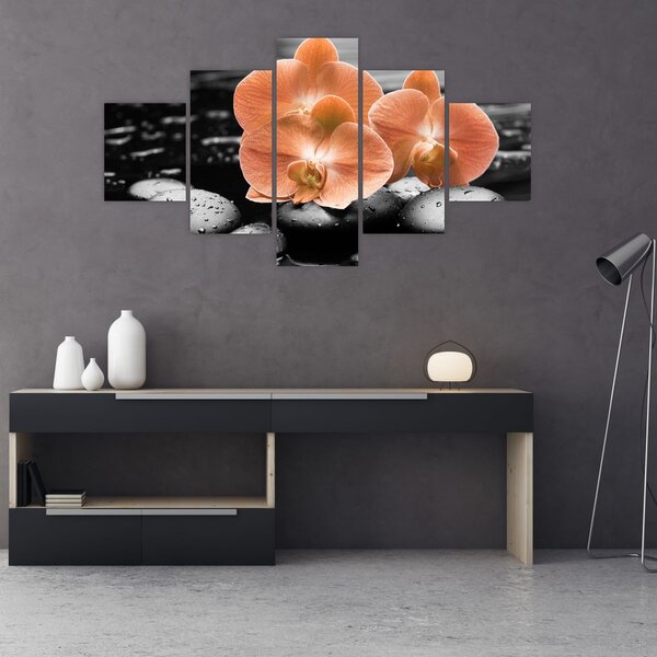 Obraz - Oranžové orchideje (125x70 cm)