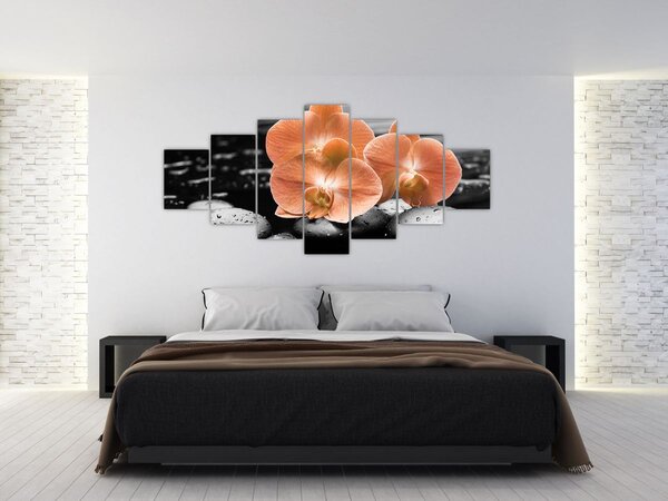 Obraz - Oranžové orchideje (210x100 cm)
