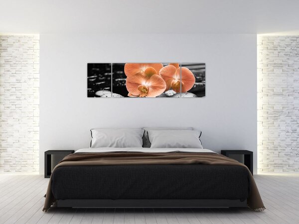 Obraz - Oranžové orchideje (170x50 cm)