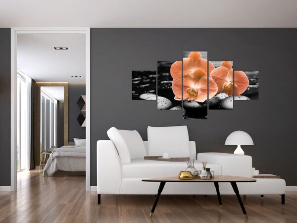 Obraz - Oranžové orchideje (125x70 cm)