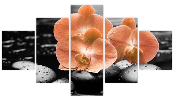 Obraz - Oranžové orchideje (125x70 cm)
