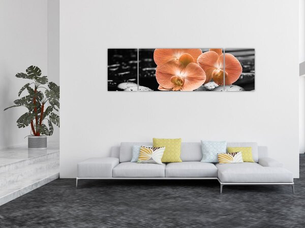 Obraz - Oranžové orchideje (170x50 cm)