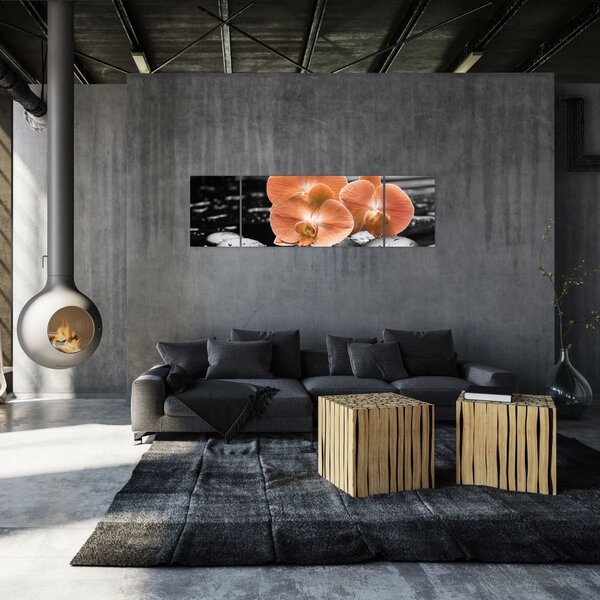 Obraz - Oranžové orchideje (170x50 cm)