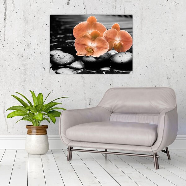 Obraz - Oranžové orchideje (70x50 cm)