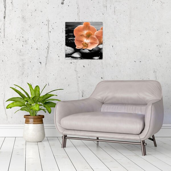Obraz - Oranžové orchideje (30x30 cm)