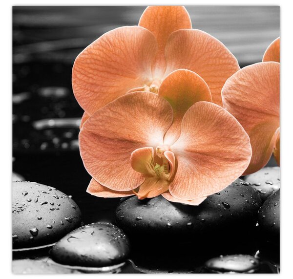 Obraz - Oranžové orchideje (30x30 cm)