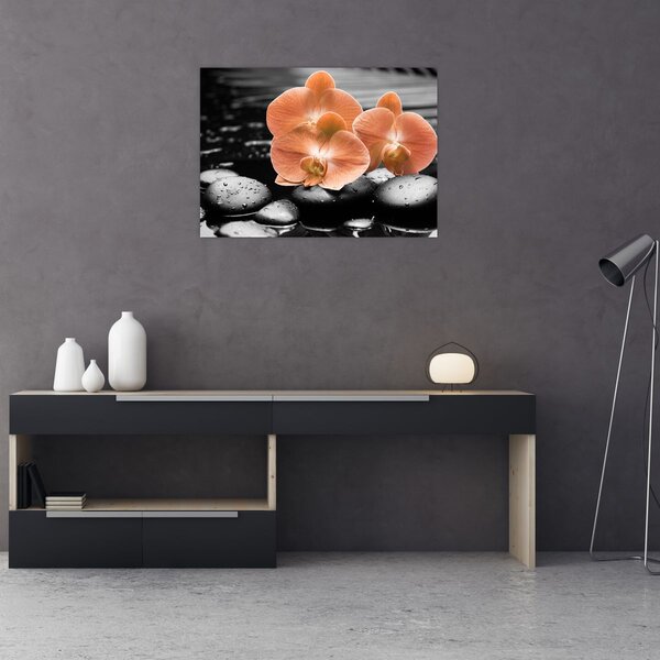 Obraz - Oranžové orchideje (70x50 cm)