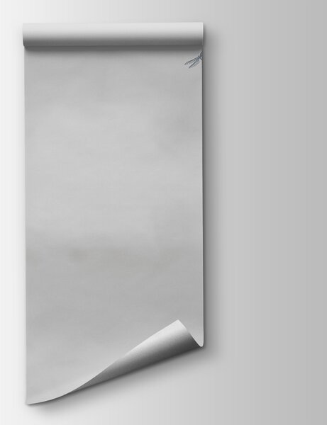 Fototapeta Vážka letící na obloze, Přírodní fototapety, Populární fototapety, w00558v4 - Tapeko.co.cz